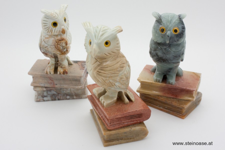 Eule auf Buch - Speckstein Gr.L